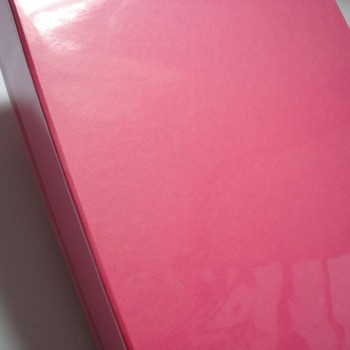 Álbum Pino M Pink