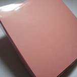 Álbum Pino G Rosa Álbum Pino G Rosa