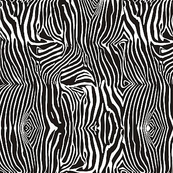 Textura - Zebra
