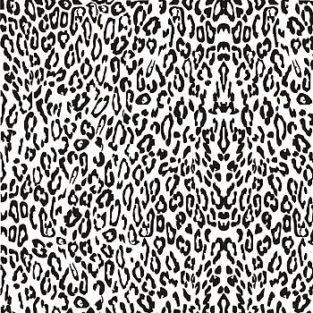 Textura - Tigre Preto