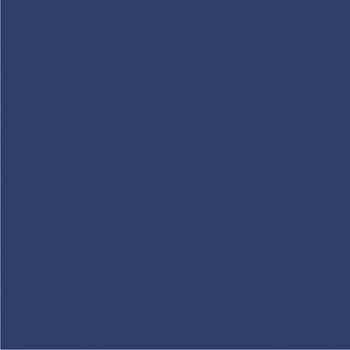 Cardstock Marinho