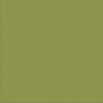 Cardstock Oliva