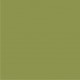 Cardstock Oliva