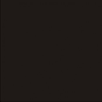 Cardstock Preto